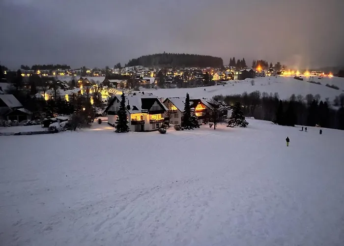 Bear Am Skihang 빈터베르크